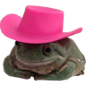 fancy_frog emoji