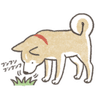 shiba-sniff emoji